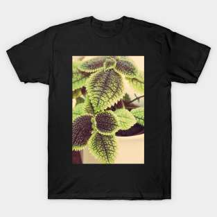 Friendship Plant T-Shirt